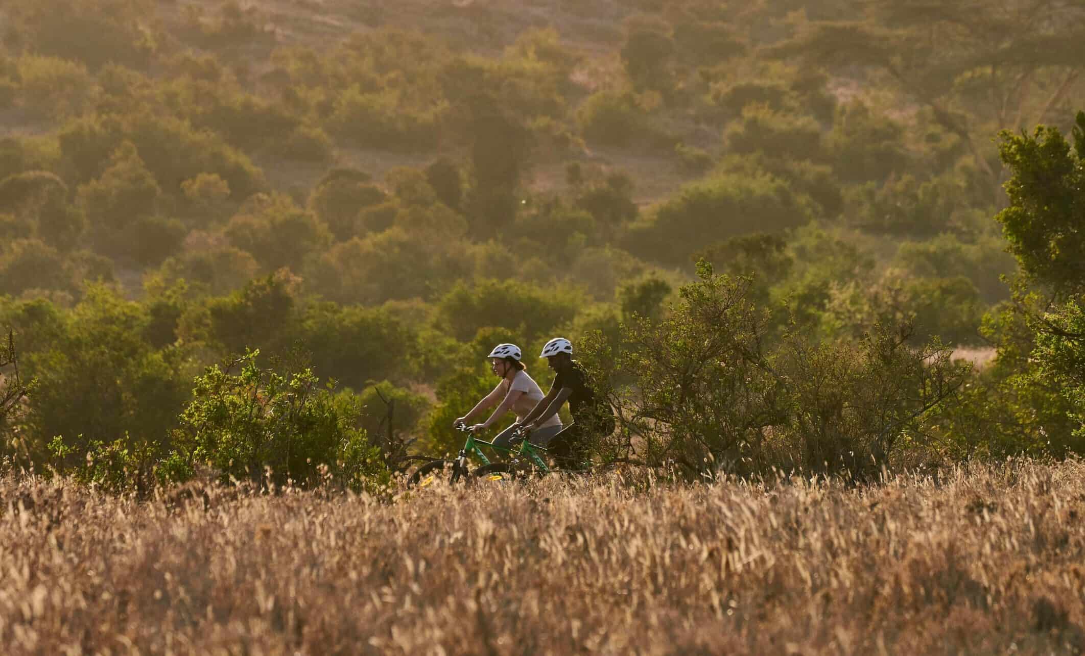 Mountain Biking