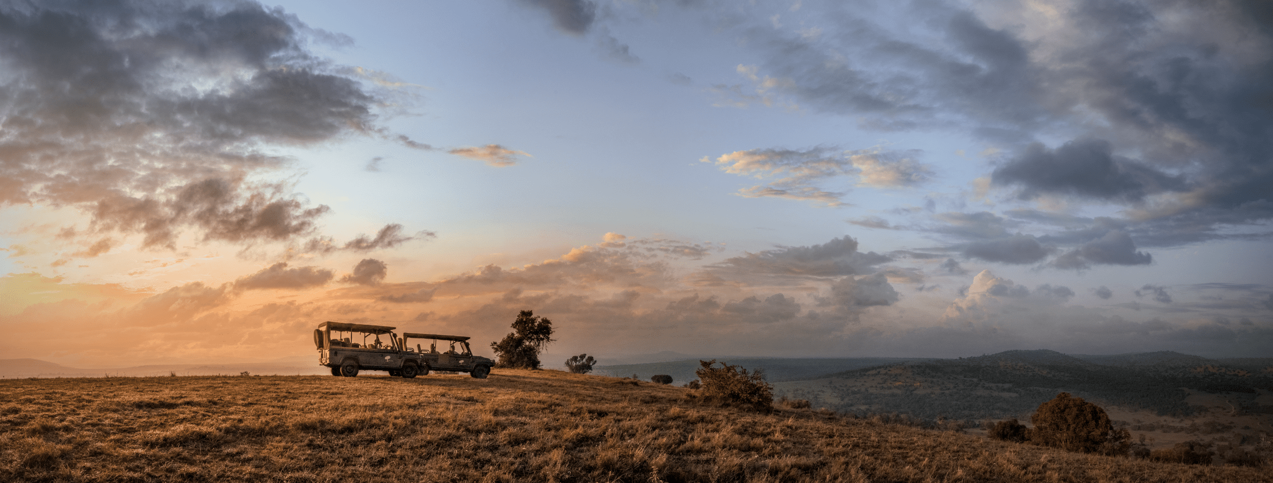 Explore the ‘Little Five’ of Borana Conservancy