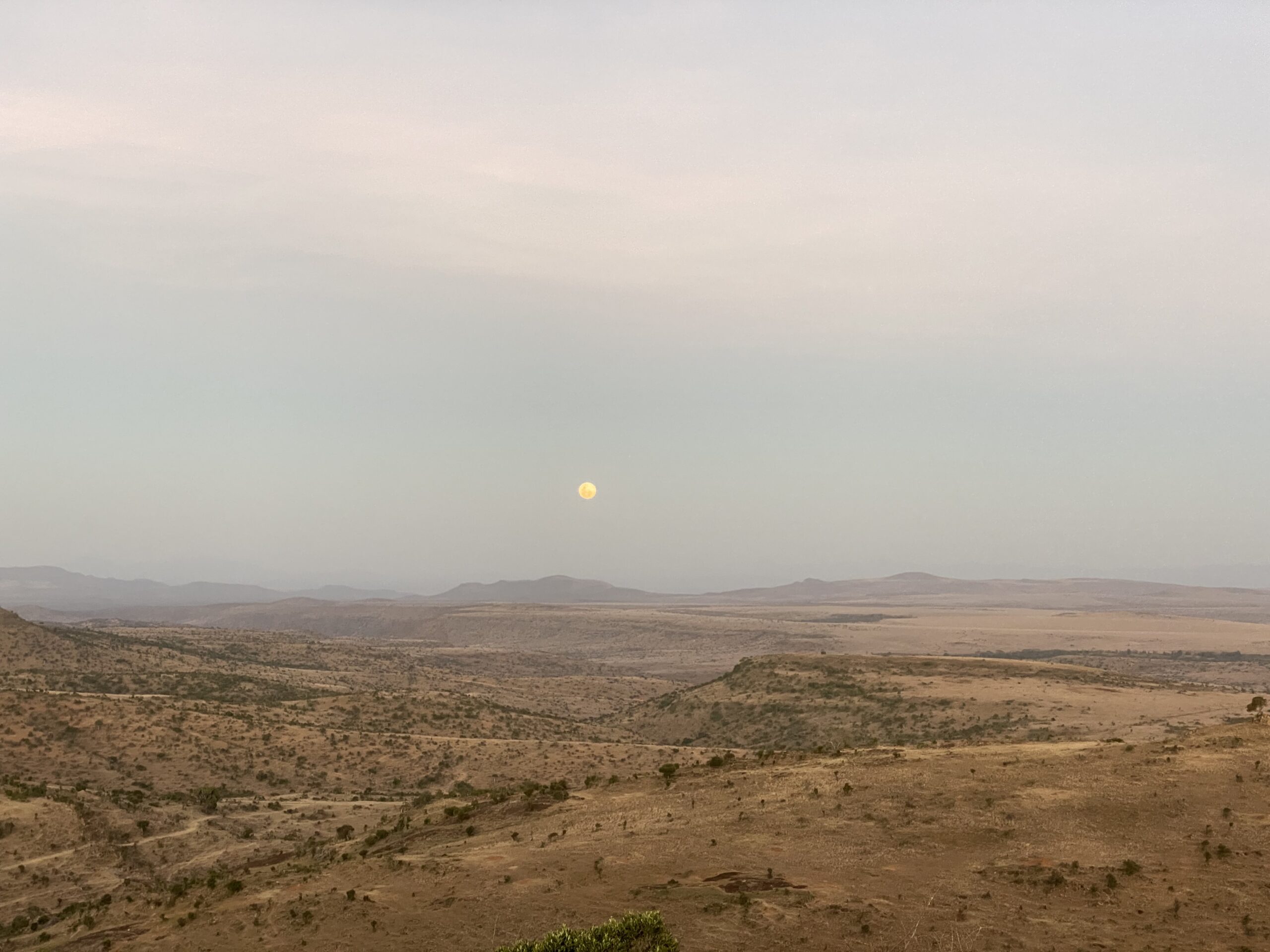 What is the Borana Conservancy?