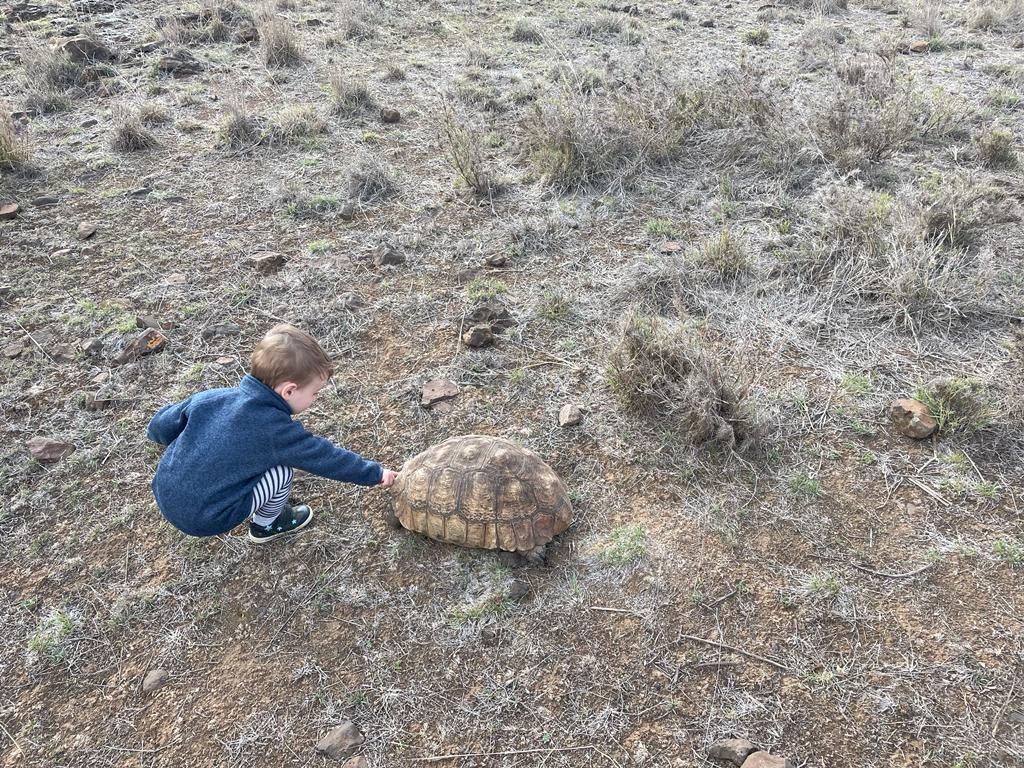 Explore the 'Little Five' of Borana Conservancy<br />

