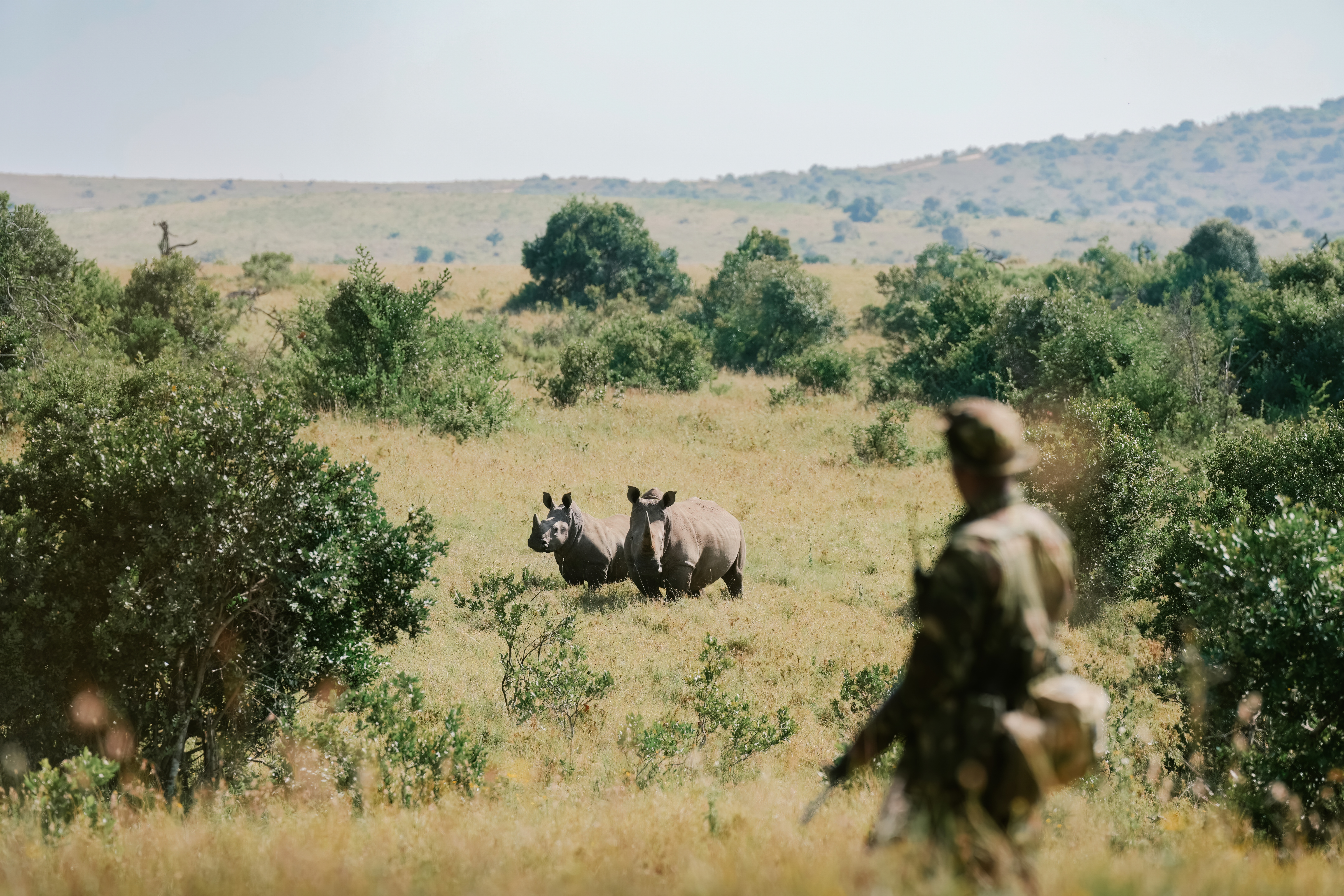 Where Your Stay Makes a Difference – World Ranger Day at Lengishu